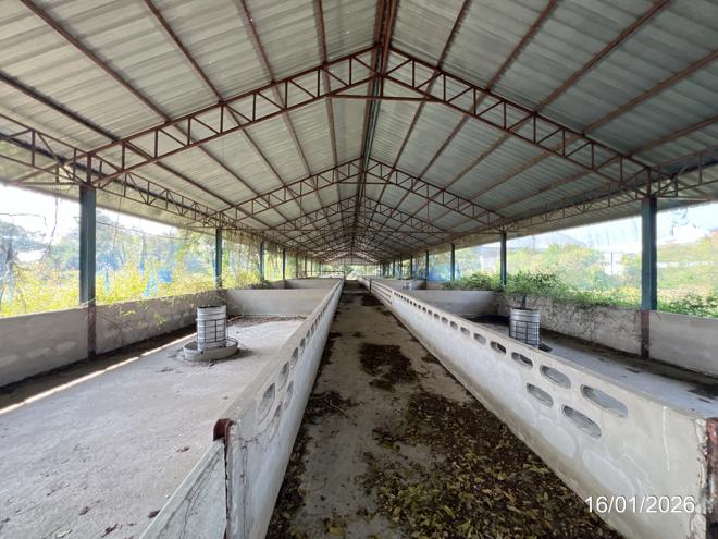 picture LAND 9600 Sq.w. Kao Lieo Nakhon Sawan for 12.6M - 5/46