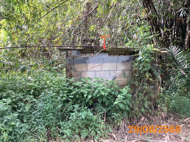 picture LAND 2165 Sq.w. Kapong Phangnga for 4M - 13/36