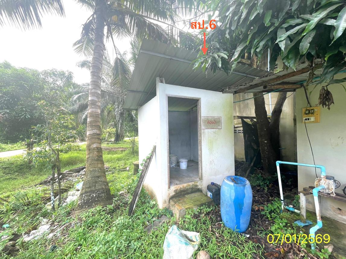 รูป ฟาร์ม 1603 ตร.วา เมืองพัทลุง พัทลุง 7M - รูปที่ 18/24