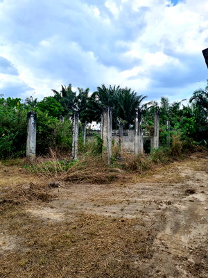 Land for sale Prasaeng Surat Thani : LAND 2789.5 Sq.w. Prasaeng Surat Thani for 16.2M