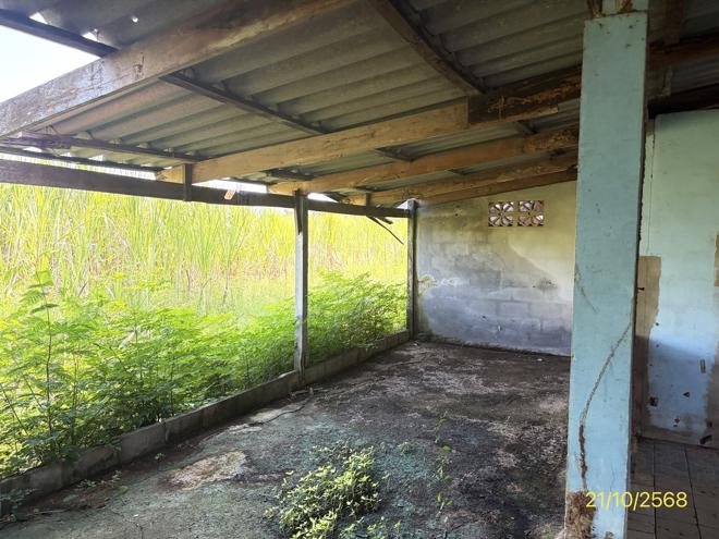 รูป บ้านเดี่ยว 3710 ตร.วา พรหมพิราม พิษณุโลก 1.4M - รูปที่ 14/38