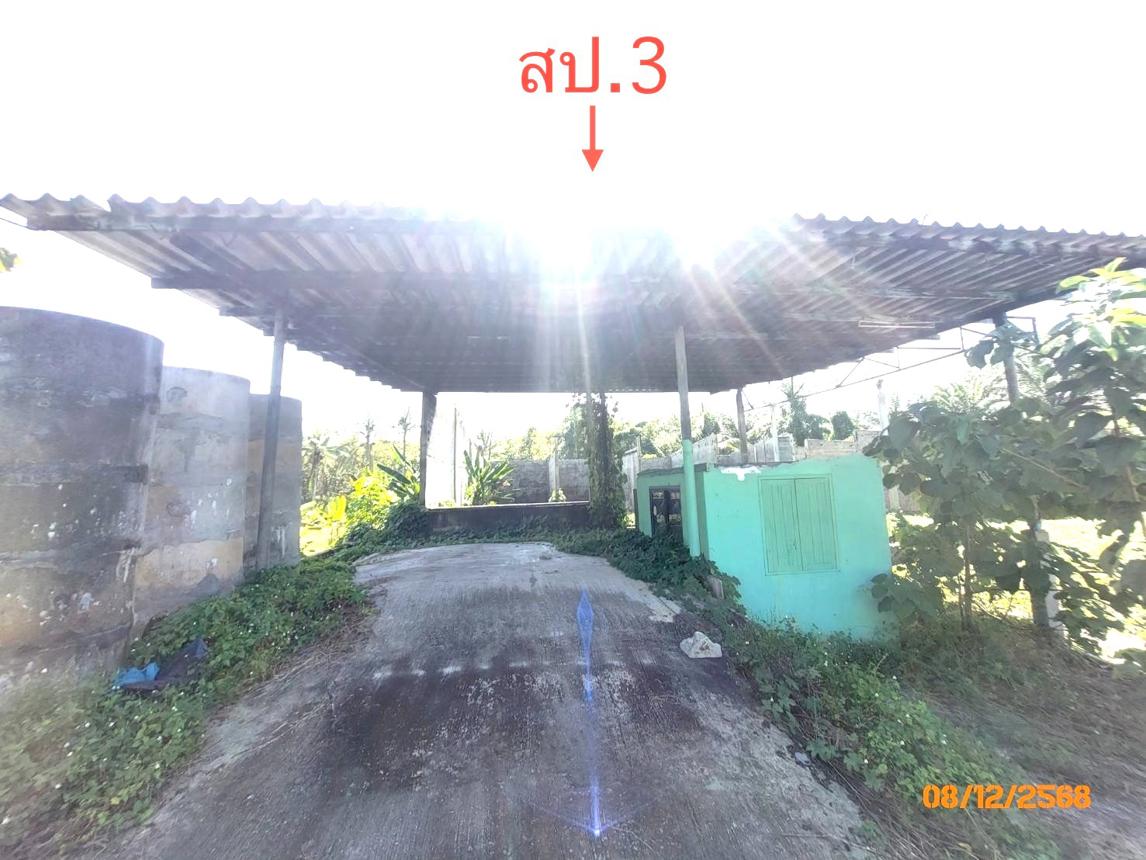 picture HOME 1000 Sq.w. Prasaeng Surat Thani for 1.8M - 25/32
