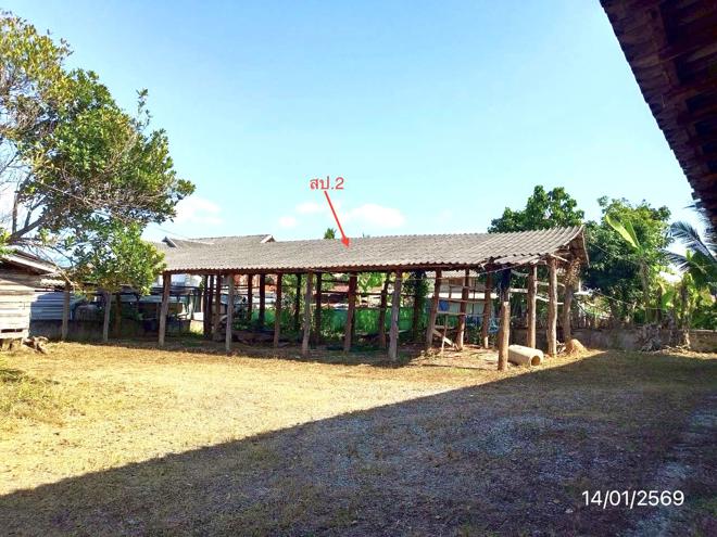 รูป เพิงอเนกประสงค์ 278 ตร.วา ดอกคำใต้ พะเยา 321,000 - รูปที่ 3/20