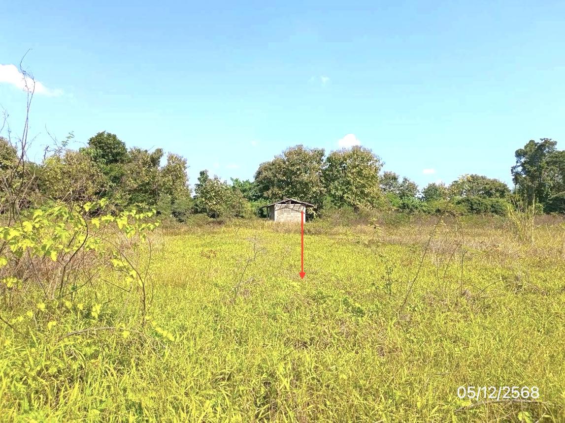 picture HOME 5773 Sq.w. Phan Chiang Rai for 4.7M - 15/24