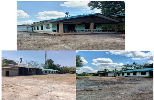 รูป ที่ดินพร้อมสิ่งปลูกสร้าง 2319.5 ตร.วา อำเภอเวียงสระ สุราษฎร์ธานี 19.3M - รูปที่ 8/12