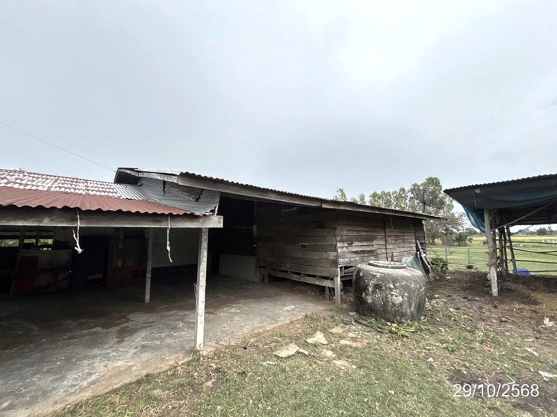 รูป บ้านเดี่ยว 1140 ตร.วา ชุมพลบุรี สุรินทร์ 1.8M - รูปที่ 25/34