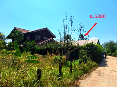 ที่ดิน ปทุมราชวงศา อำนาจเจริญ : ที่ดินพร้อมสิ่งปลูกสร้าง 108 ตร.วา อำเภอปทุมราชวงศา อำนาจเจริญ 885,000