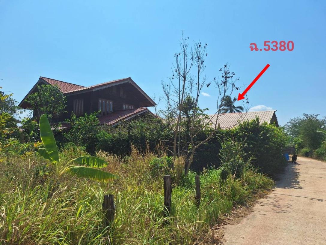 รูป ที่ดินพร้อมสิ่งปลูกสร้าง 108 ตร.วา อำเภอปทุมราชวงศา อำนาจเจริญ 885,000 - รูปที่ 1/4