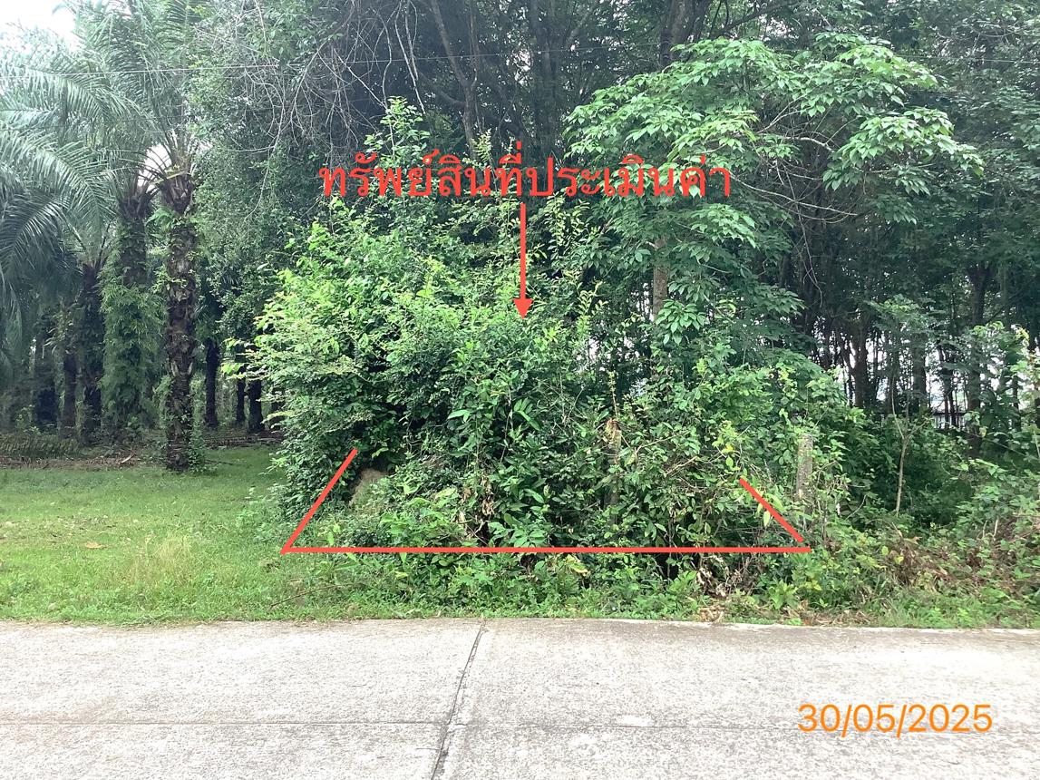 picture LAND 3649 Sq.w. Chalermphrakiet Nakhon Sri Thammarat for 9.9M - 34/38