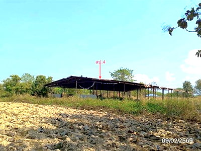 โรงงาน เชียงคำ พะเยา : เพิงอเนกประสงค์ 2900 ตร.วา เชียงคำ พะเยา 5.4M