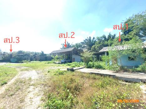 picture HOME 1000 Sq.w. Prasaeng Surat Thani for 1.8M - 29/32