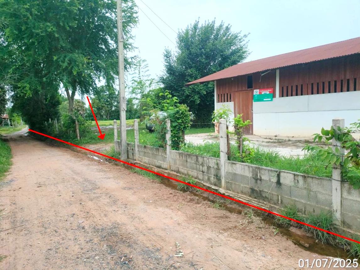 รูป บ้านเดี่ยว 2800 ตร.วา โกสุมพิสัย มหาสารคาม 2.6M - รูปที่ 12/24