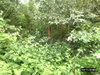 listing thumbnail image 33