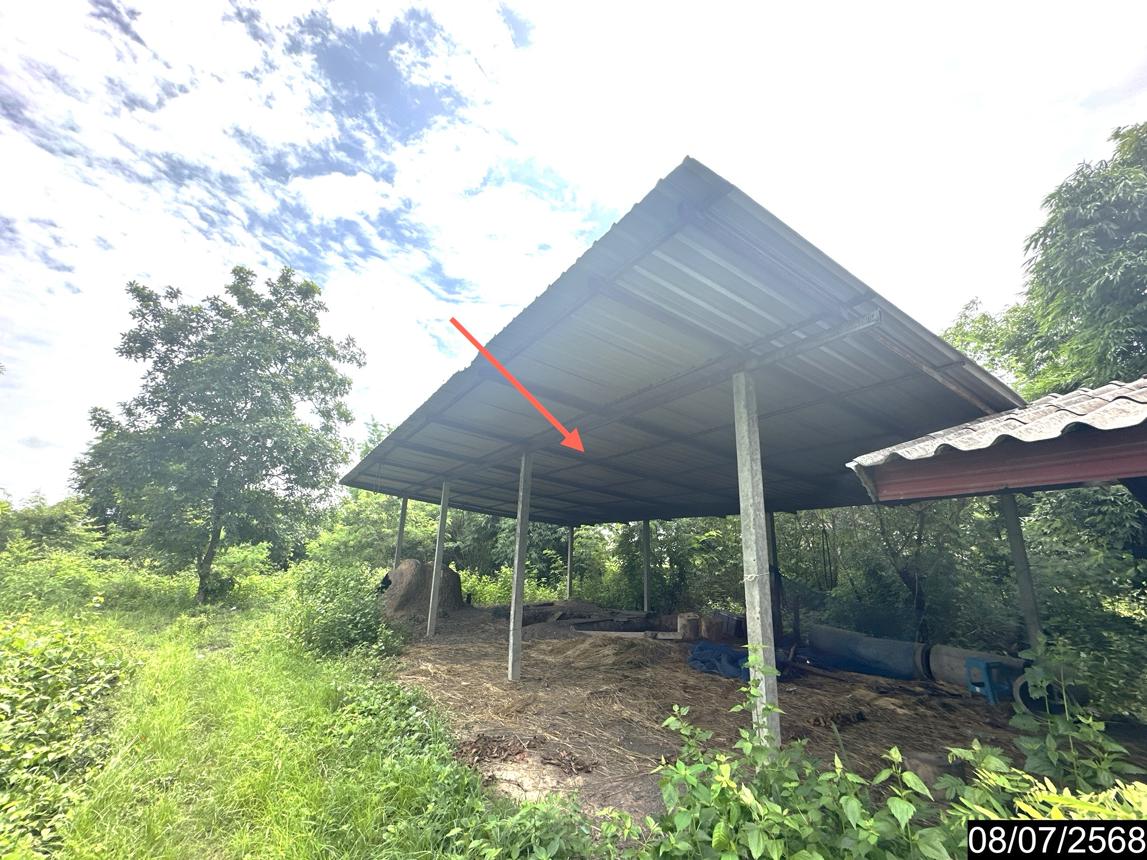 รูป บ้านเดี่ยว 10506.7 ตร.วา เดชอุดม อุบลราชธานี 2.3M - รูปที่ 17/26