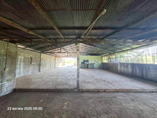 รูป บ้านเดี่ยว 105 ตร.วา แม่จัน เชียงราย 1.5M - รูปที่ 4/26