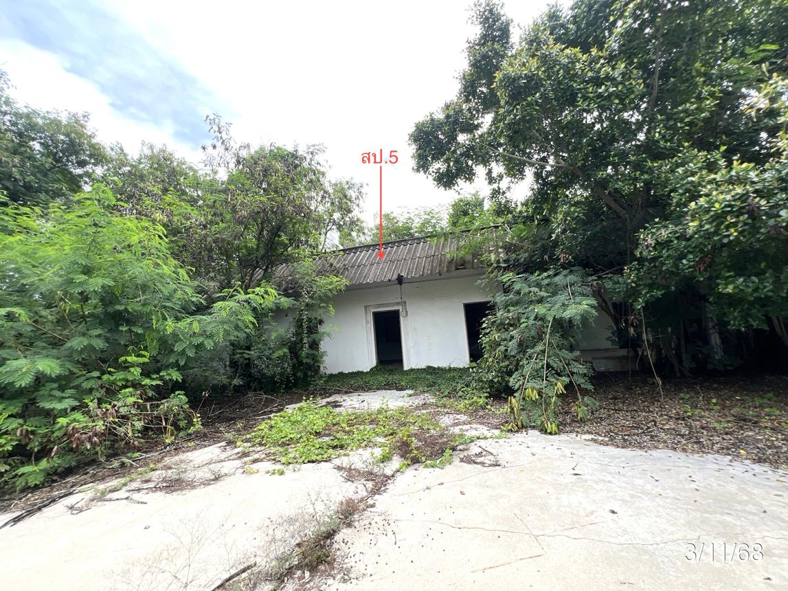 รูป โรงสี 3704.2 ตร.วา สรรคบุรี ชัยนาท 14.4M - รูปที่ 46/52