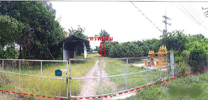 picture LAND 7004 Sq.w. Takhli Nakhon Sawan for 4.4M - 10/11