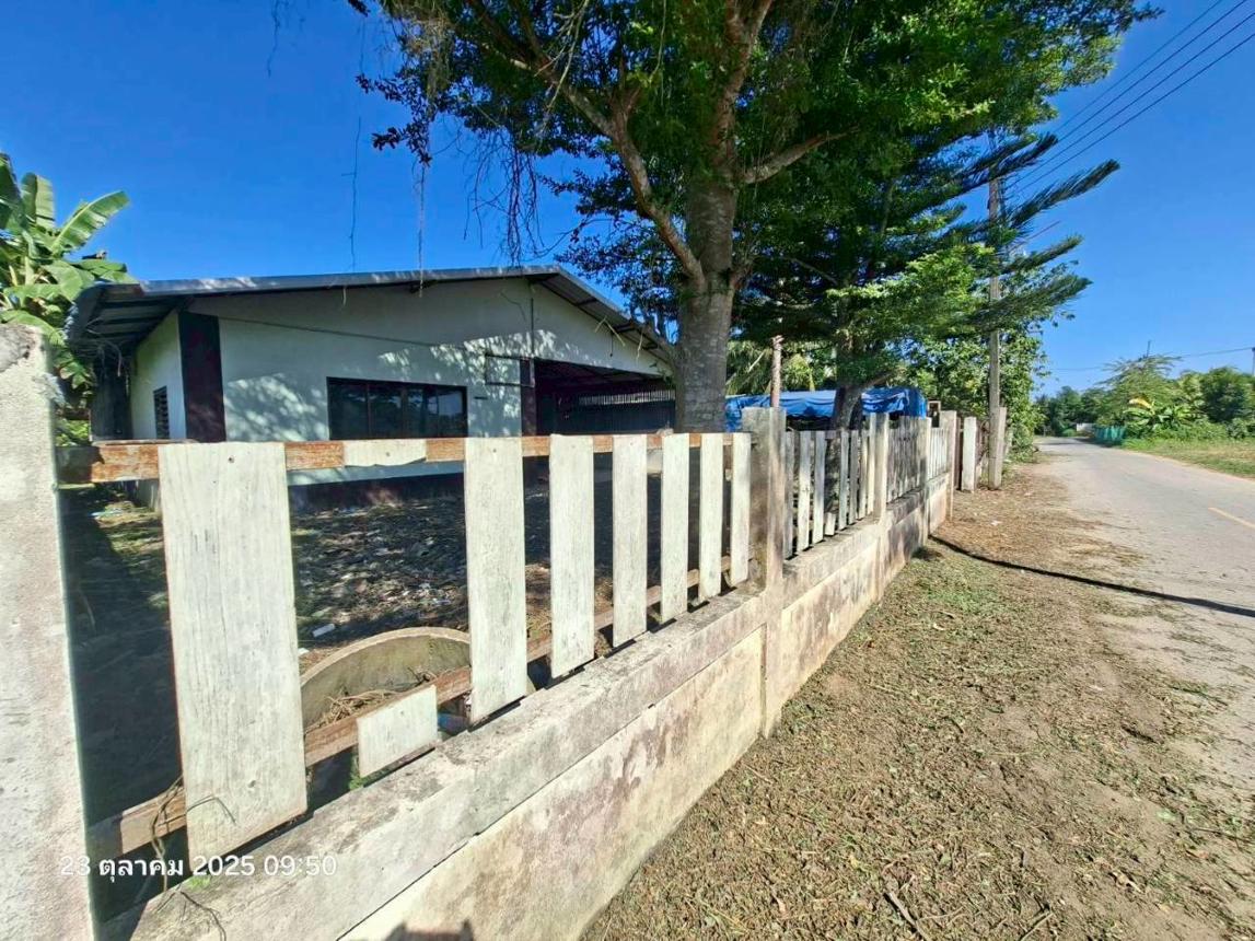 รูป บ้านเดี่ยว 105 ตร.วา แม่จัน เชียงราย 1.5M - รูปที่ 22/26