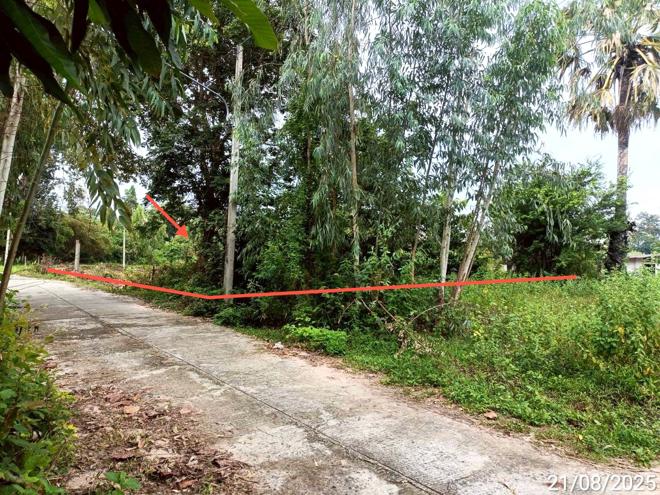 รูป บ้านเดี่ยว 2369 ตร.วา สุวรรณภูมิ ร้อยเอ็ด 1.3M - รูปที่ 10/24