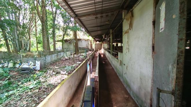 รูป เพิงอเนกประสงค์ 4000 ตร.วา ศรีนครินทร์ พัทลุง 5.1M - รูปที่ 10/40