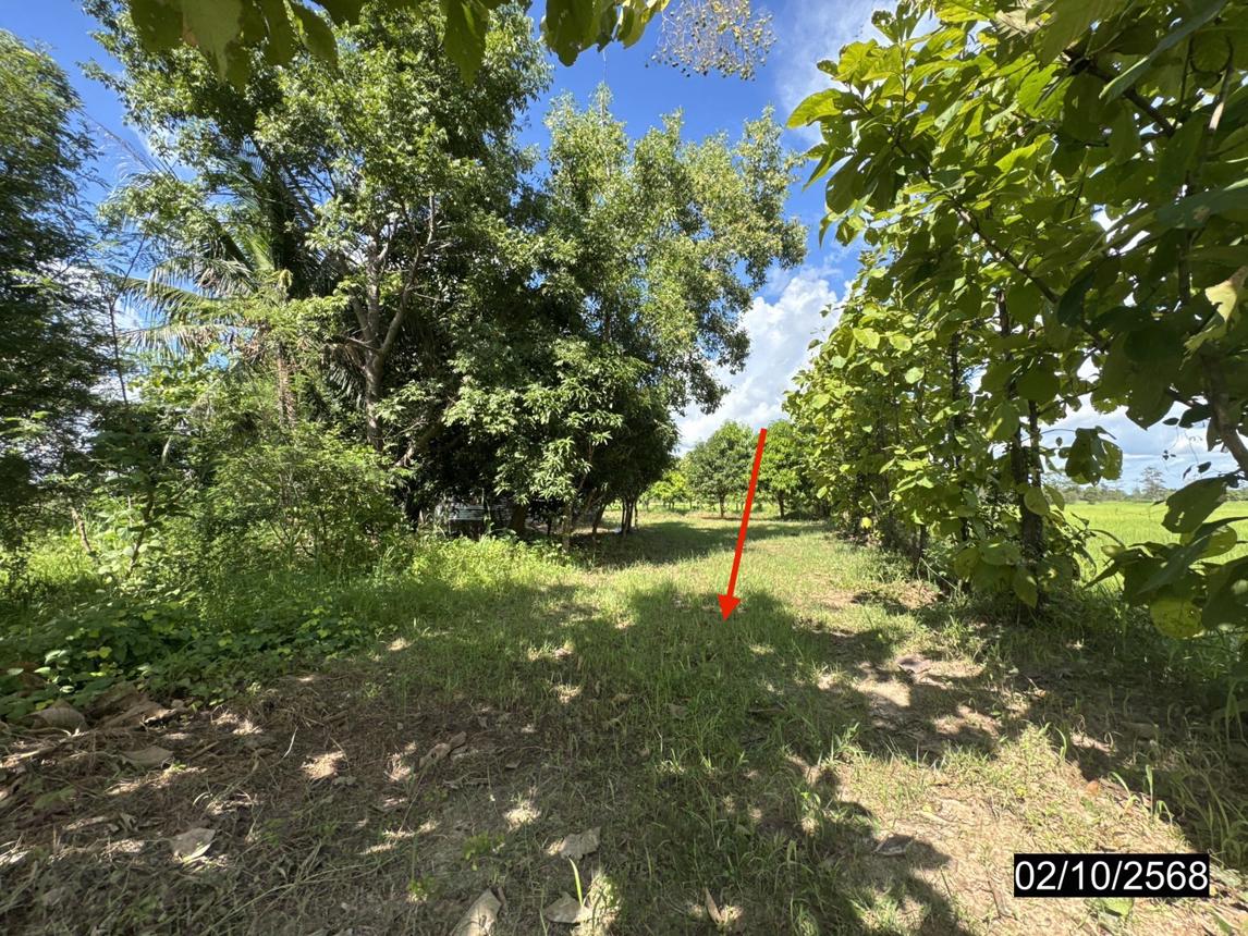 รูป เพิงอเนกประสงค์ 4244.4 ตร.วา วารินชำราบ อุบลราชธานี 1.4M - รูปที่ 16/24