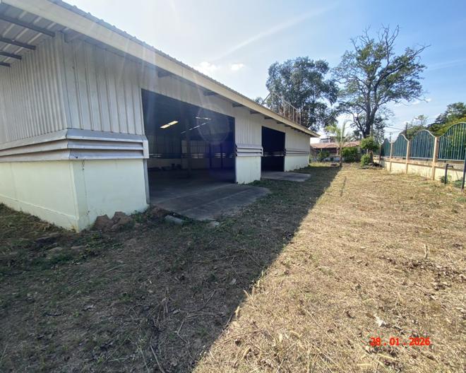 รูป บ้านเดี่ยว 830 ตร.วา ยางตลาด กาฬสินธุ์ 7.2M - รูปที่ 11/42