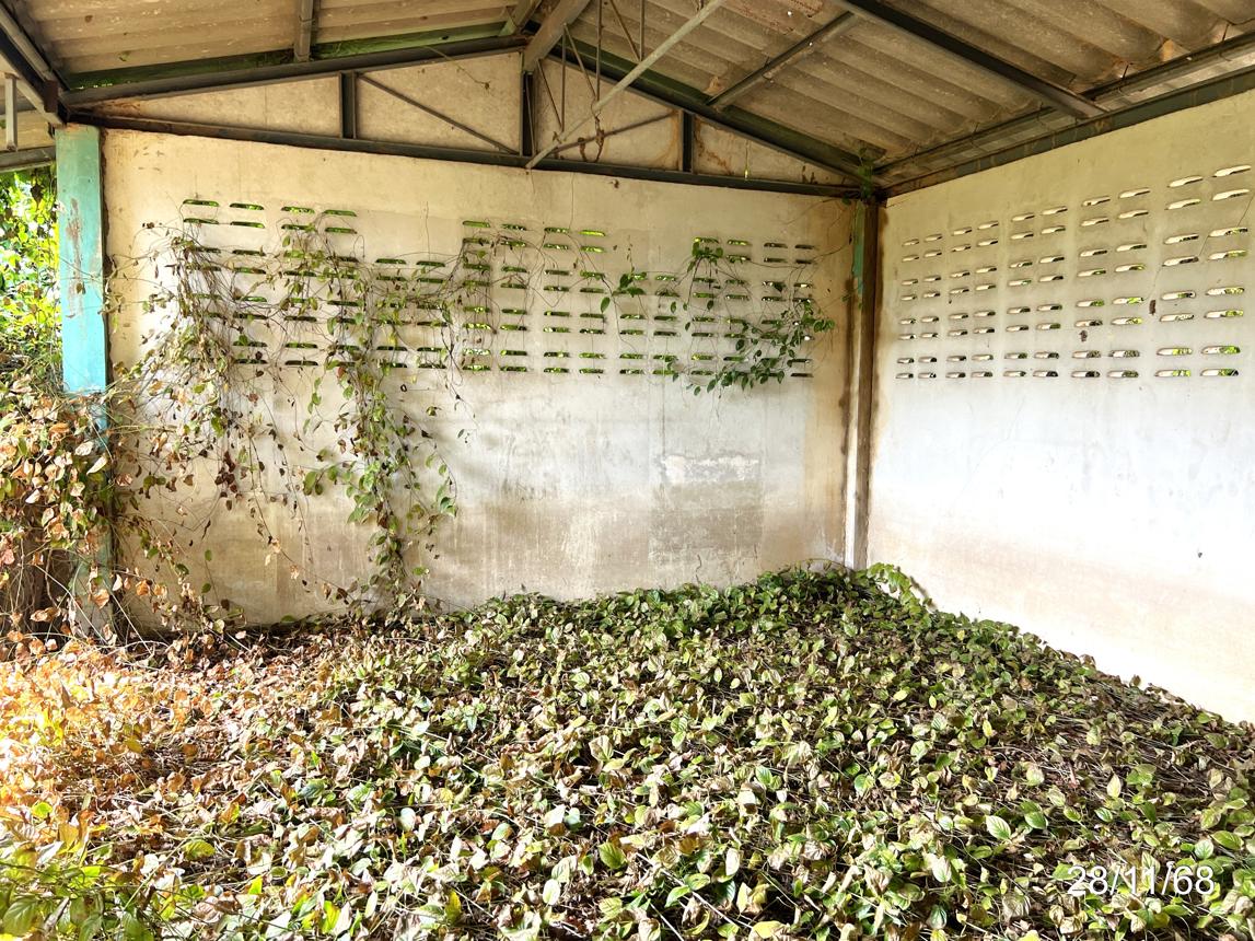 picture HOME 176 Sq.w. Muang Chai Nat Chainat for 1.1M - 9/16