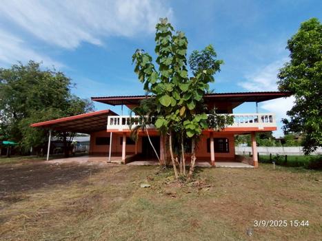 picture HOME 800 Sq.w. Pla Pak Nakhon Phanom for 5.2M - 55/58