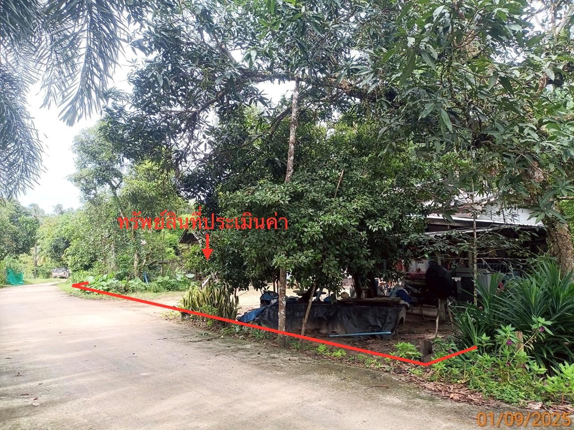 picture HOME 1218 Sq.w. Ko Lanta Krabi for 1.5M - 13/18