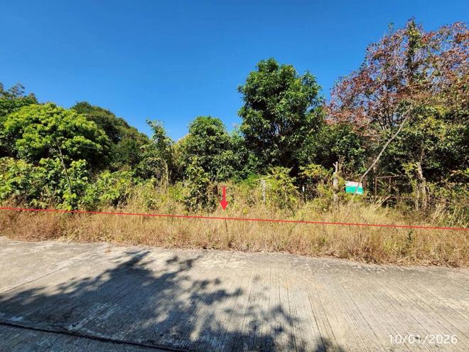 รูป บ้านเดี่ยว 1207 ตร.วา นามน กาฬสินธุ์ 2.4M - รูปที่ 10/24