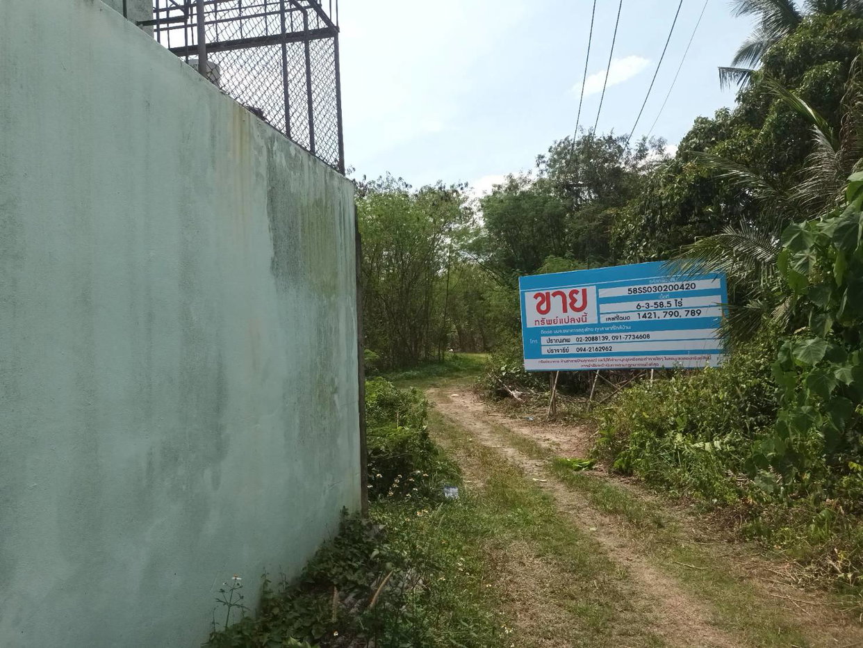 picture LAND 2789.5 Sq.w. Prasaeng Surat Thani for 16.2M - 3/5