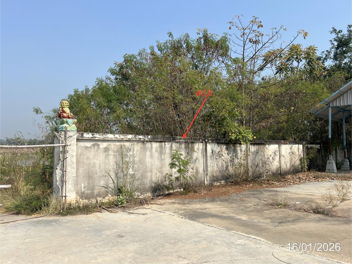 picture LAND 9600 Sq.w. Kao Lieo Nakhon Sawan for 12.6M - 40/46