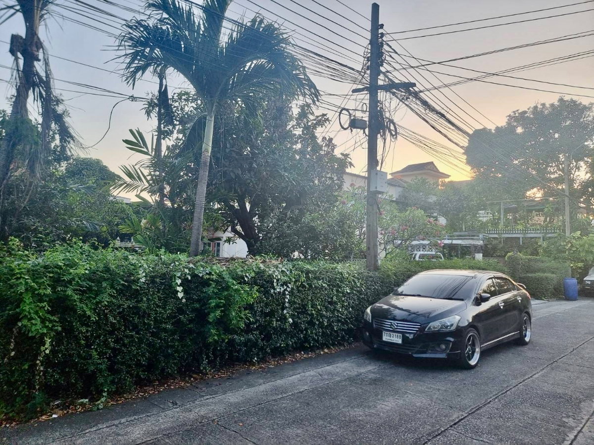 รูป ขายที่ดินเปล่า แถมบ้าน ซอยวิภาวดีรังสิต 62 ทำเลเมือง ใกล้ทางด่วน เหมาะปลูกบ้านหรือพัฒนาเพื่อการลงทุน - รูปที่ 3/3