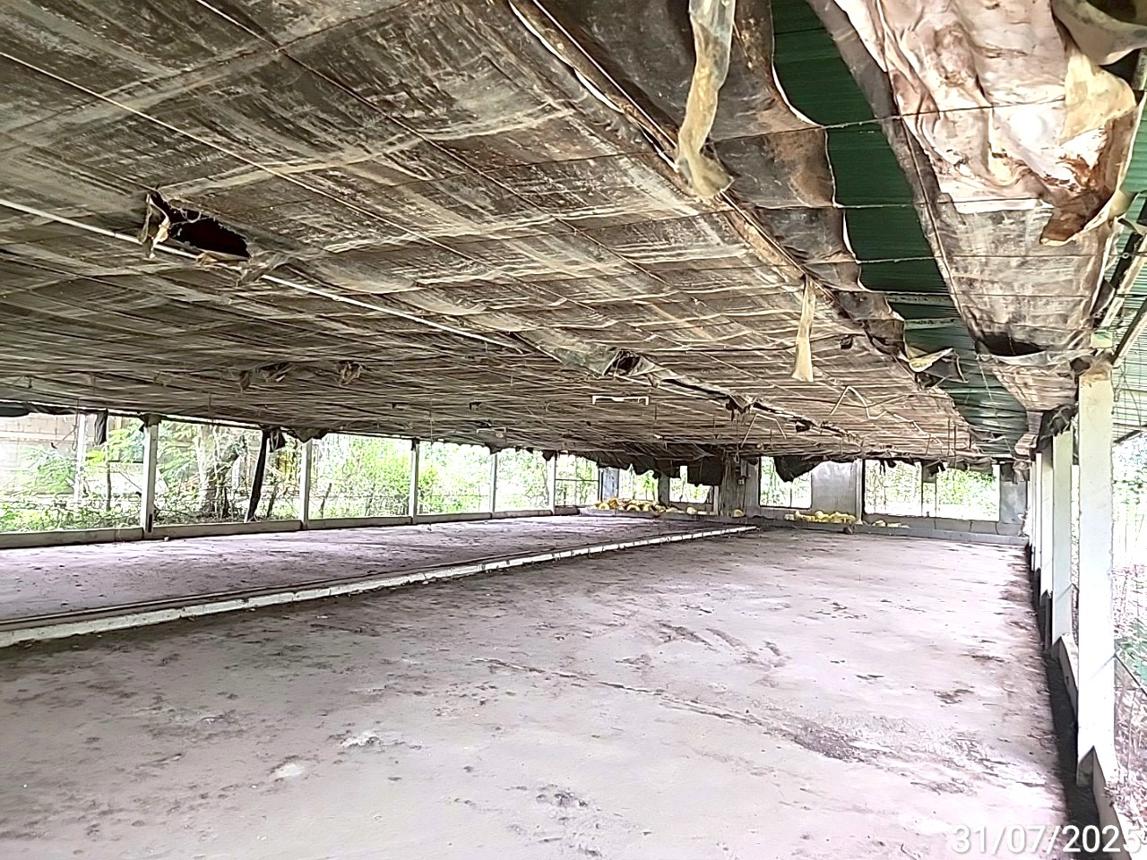 picture LAND 5084 Sq.w. At Samat Roi Et for 5.5M - 21/40