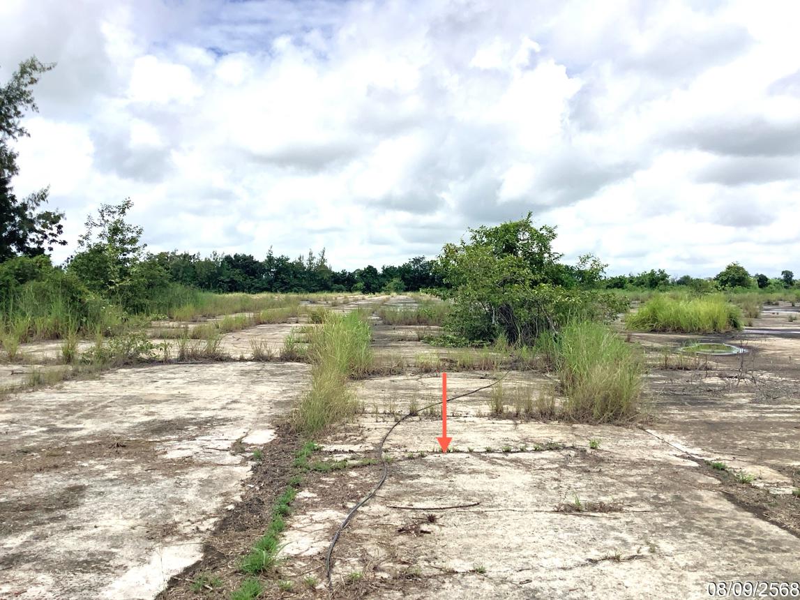 รูป บ้านพักคนงาน 13287 ตร.วา ขาณุวรลักษบุรี กำแพงเพชร 24.2M - รูปที่ 16/24