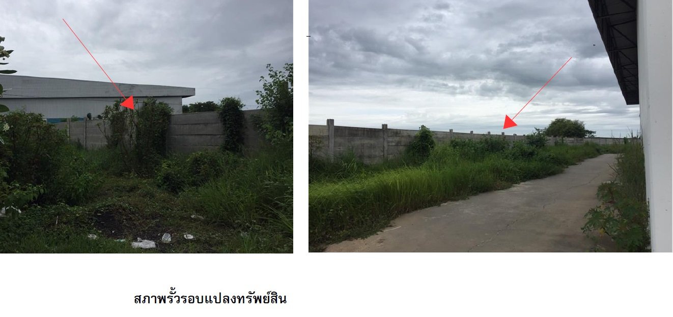 รูป โกดัง 21150 ตร.วา เมืองบุรีรัมย์ บุรีรัมย์ 417M - รูปที่ 28/32