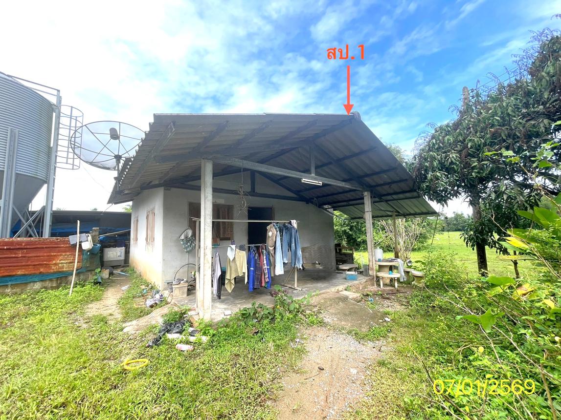 รูป ฟาร์ม 1603 ตร.วา เมืองพัทลุง พัทลุง 7M - รูปที่ 15/24