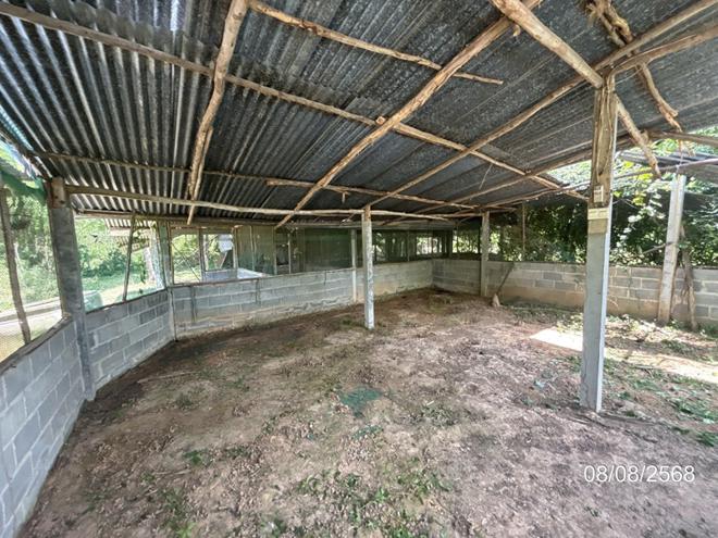รูป บ้านเดี่ยว 623 ตร.วา ศรีณรงค์ สุรินทร์ 859,000 - รูปที่ 13/32