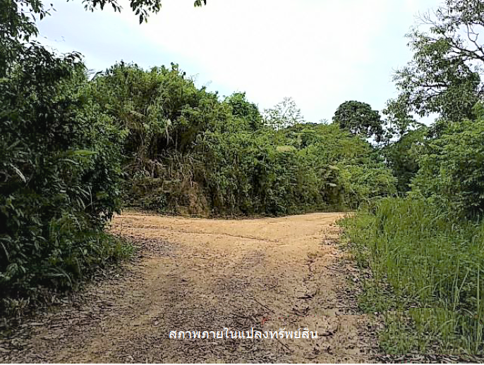 picture PROPERTY 11778.5 Sq.w. Ko Samui Surat Thani for 83M - 11/12
