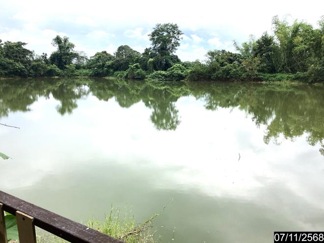 รูป ฟาร์ม 14688 ตร.วา เมืองหนองคาย หนองคาย 3.8M - รูปที่ 9/24