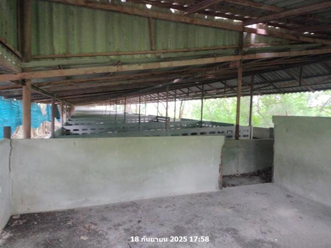 picture LAND 27277 Sq.w. Phra Phutthabat Saraburi for 29.7M - 19/42