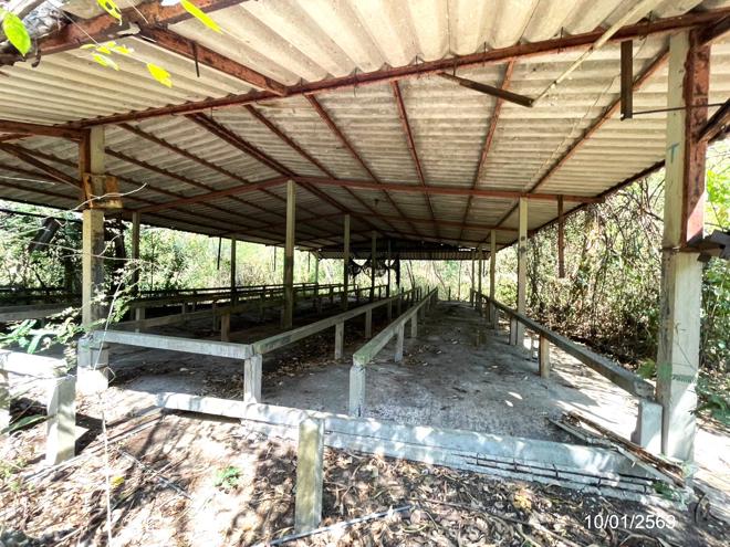 picture LAND 12644 Sq.w. Ko Chan Chonburi for 14.6M - 20/44