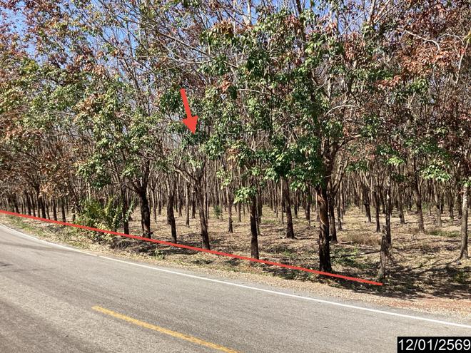 picture LAND 11227 Sq.w. Nongkai for 9M - 4/24