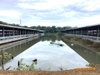 listing thumbnail image 32
