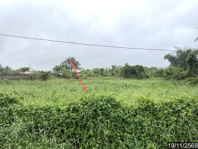 picture HOME 1062 Sq.w. Phan Chiang Rai for 2.9M - 4/24