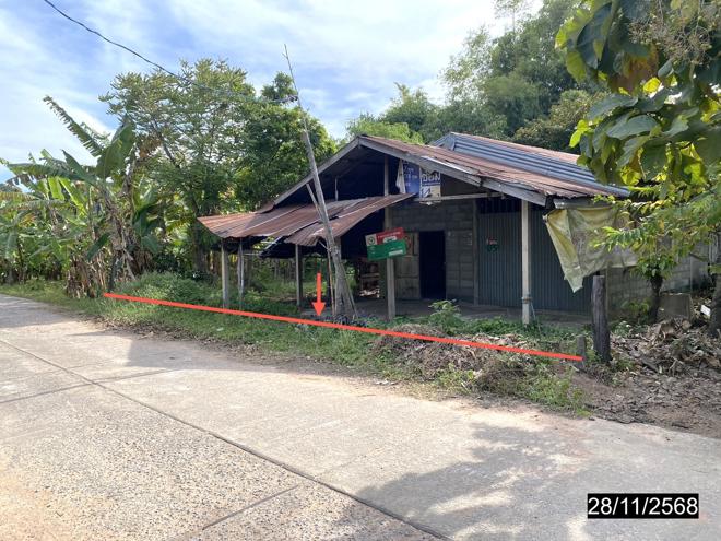 รูป บ้านเดี่ยว 118 ตร.วา หนองกุงศรี กาฬสินธุ์ 518,000 - รูปที่ 2/32