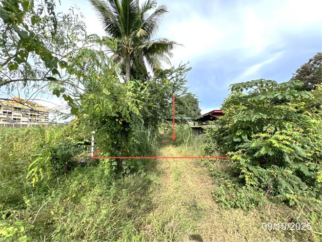 picture HOME 600 Sq.w. Tak Fa Nakhon Sawan for 709,000 - 8/20