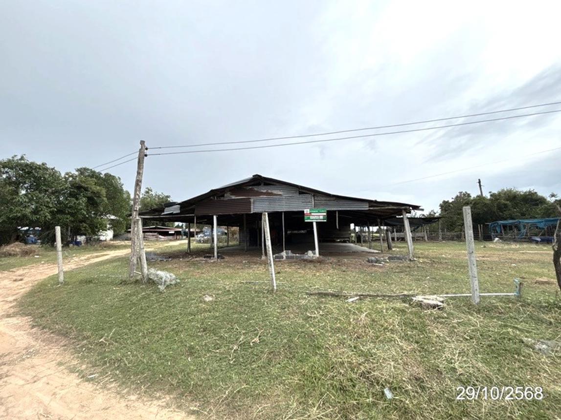 รูป บ้านเดี่ยว 1140 ตร.วา ชุมพลบุรี สุรินทร์ 1.8M - รูปที่ 16/34