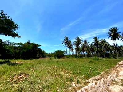 LAND 16156 Sq.w. Thap Sakae Prachaubkirikhan for 10.6M