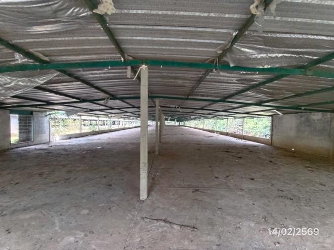 รูป ฟาร์ม 3464 ตร.วา สทิงพระ สงขลา 9.7M - รูปที่ 8/48